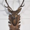 DSC_0255-scaled-6.jpg