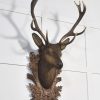 DSC_0267-1-scaled-4.jpg