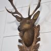 DSC_0278-scaled-5.jpg