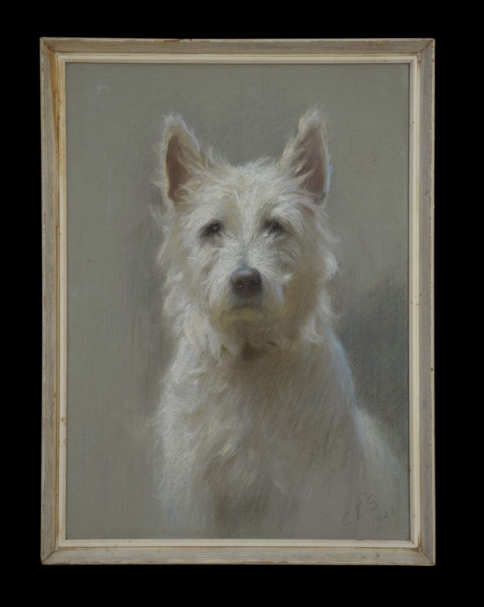 Portrait of a West Highland White Terrier signed C.E.Stewart