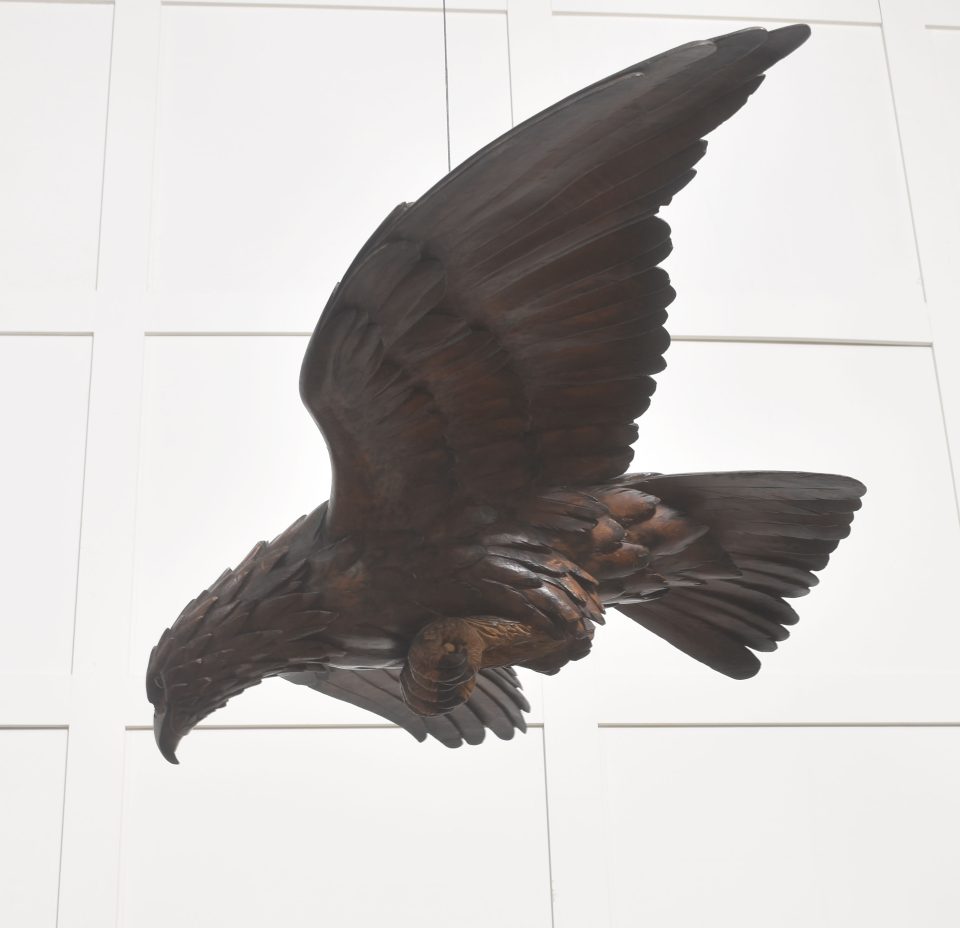 Large Black Forest Carved Wood Eagle